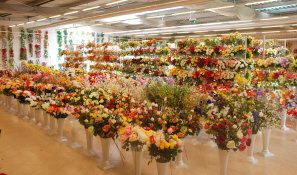 ERENA импортер искусственных цветов. Искусственные цветы: оптовая торговля, Польша